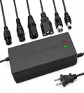 Upgraded Fast Charger For Tuttio, Yozma, and Ridstar